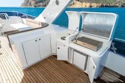 Sunbird 72 photo 15